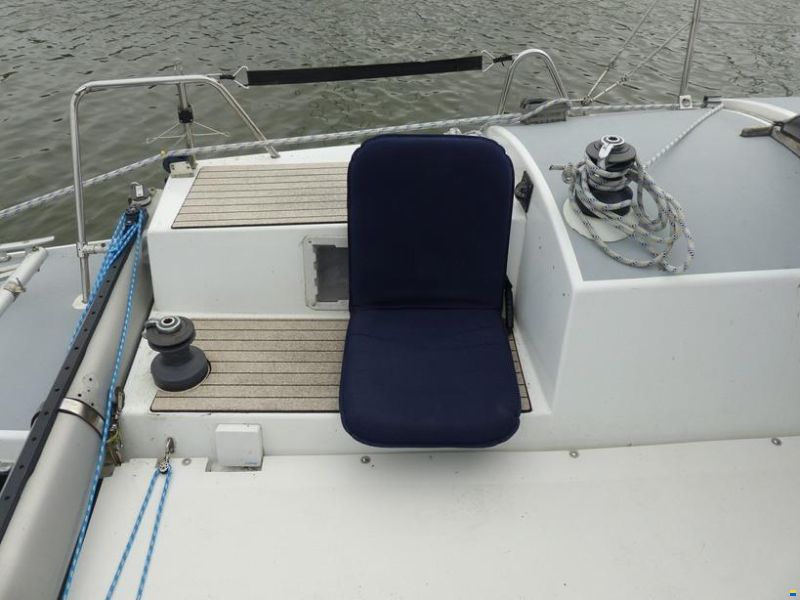 Rhebergen Havkat 31