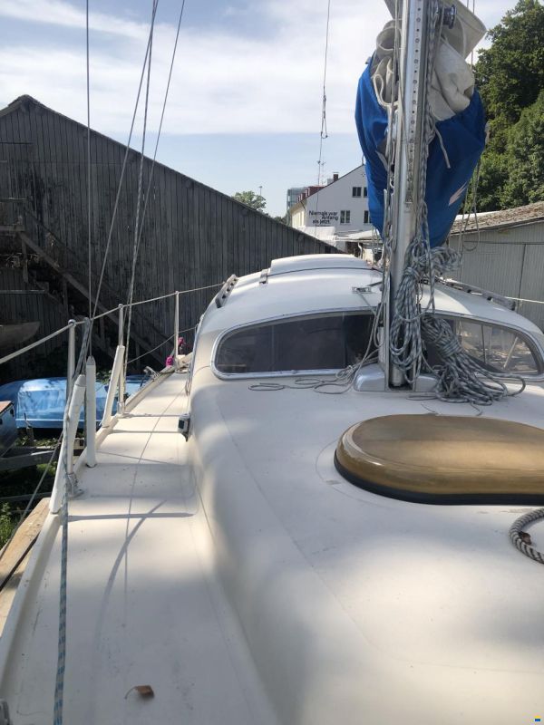 Dehler Optima 83