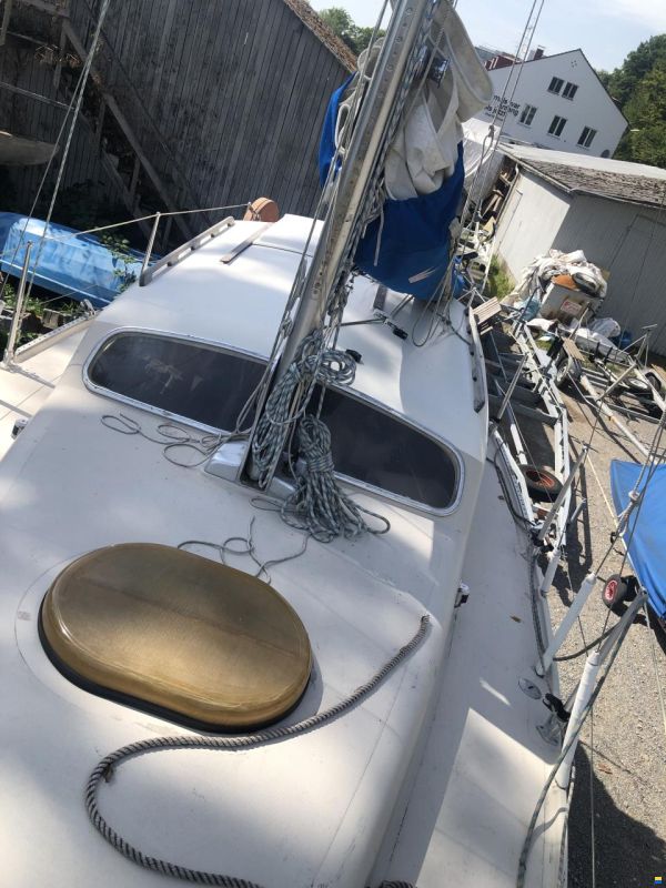 Dehler Optima 83
