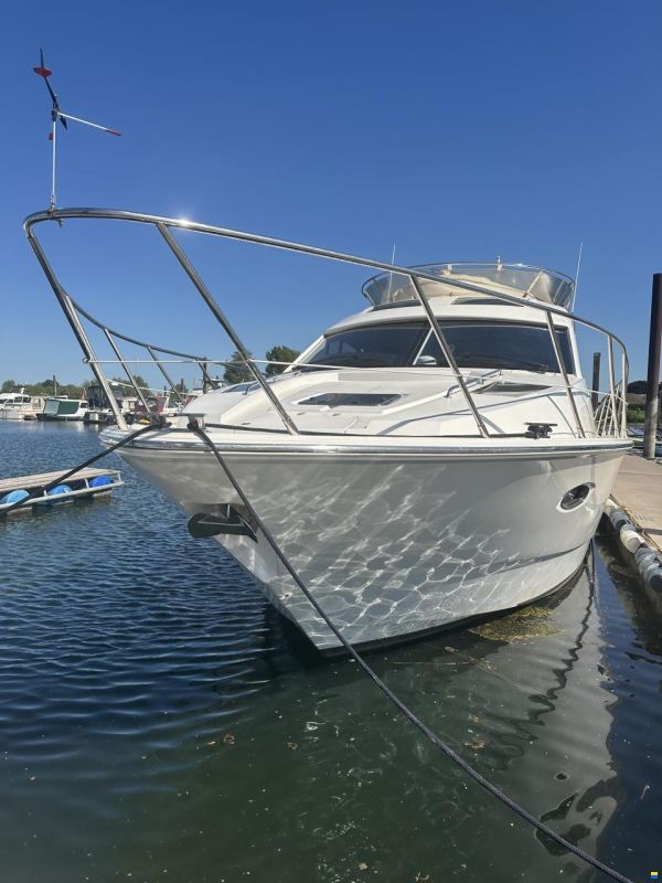 Sealine T50
