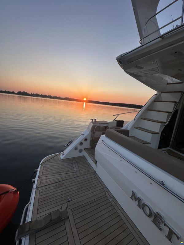 Sealine T50