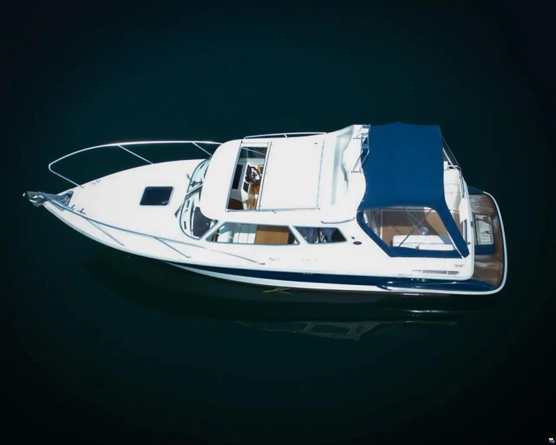 Bella Falcon 26