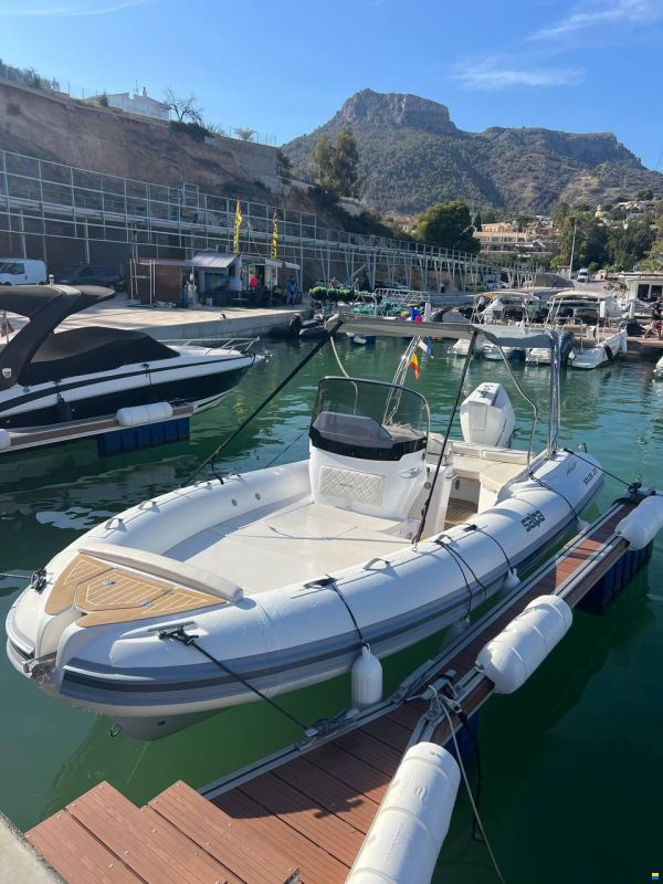 Salpa Soleil 23
