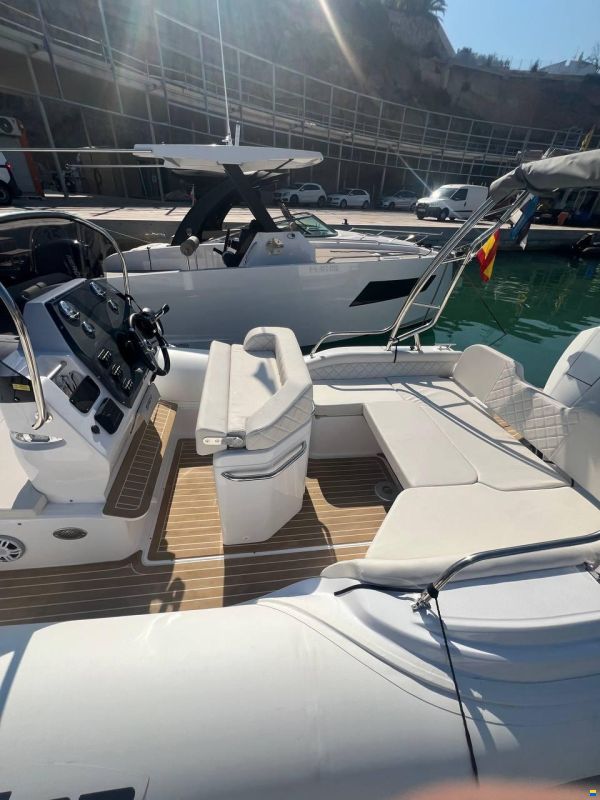 Salpa Soleil 23