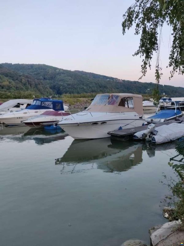 Crownline 242 CR