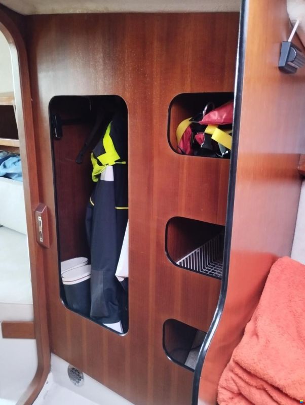 Avance 36