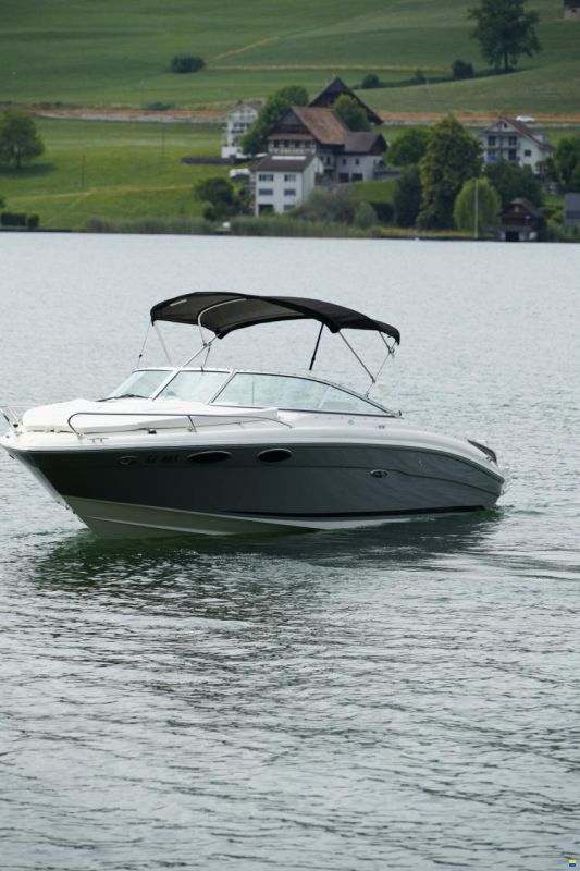 Sea Ray 240