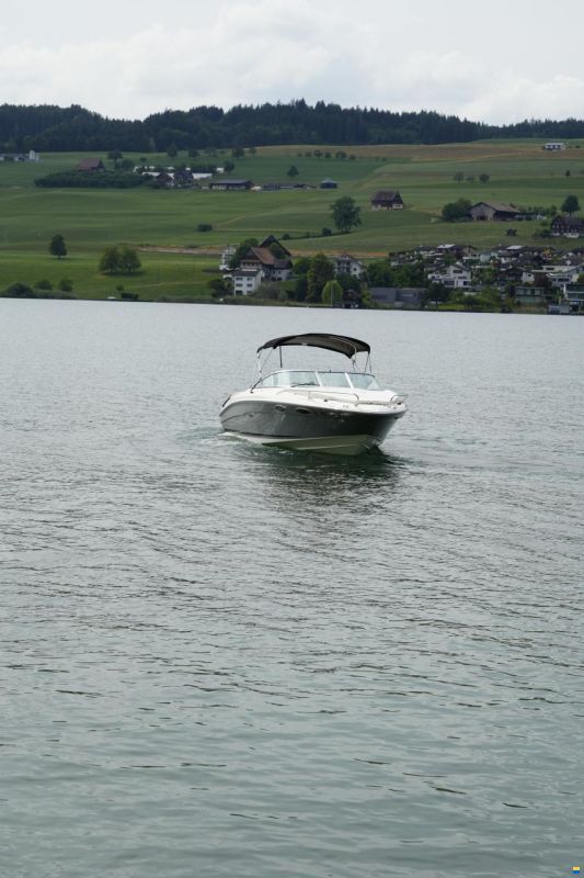Sea Ray 240