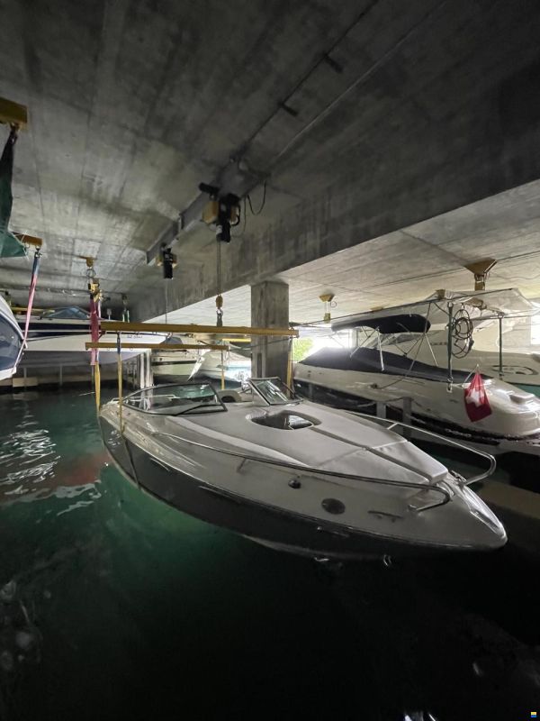 Sea Ray 240