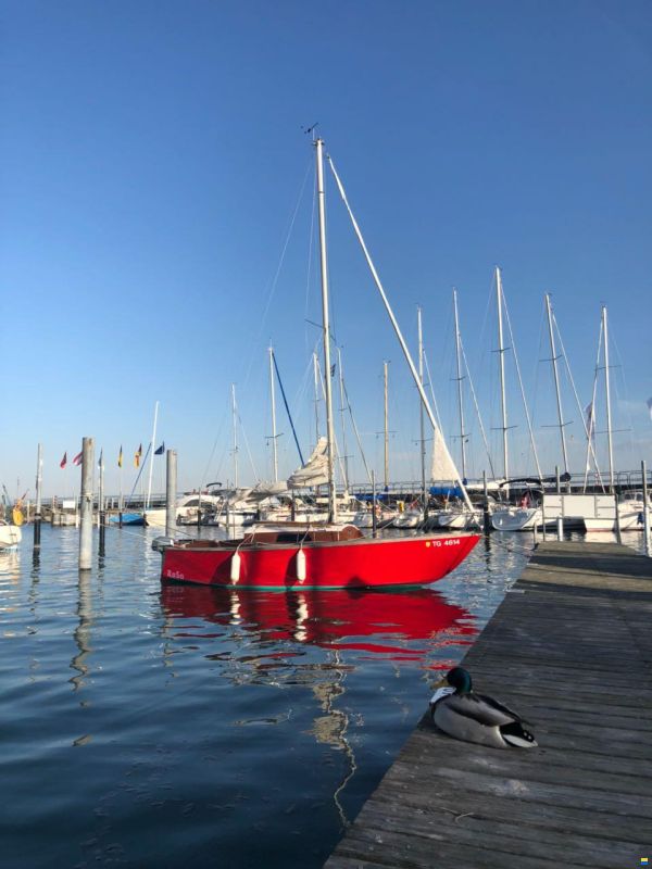 Mini Ahab