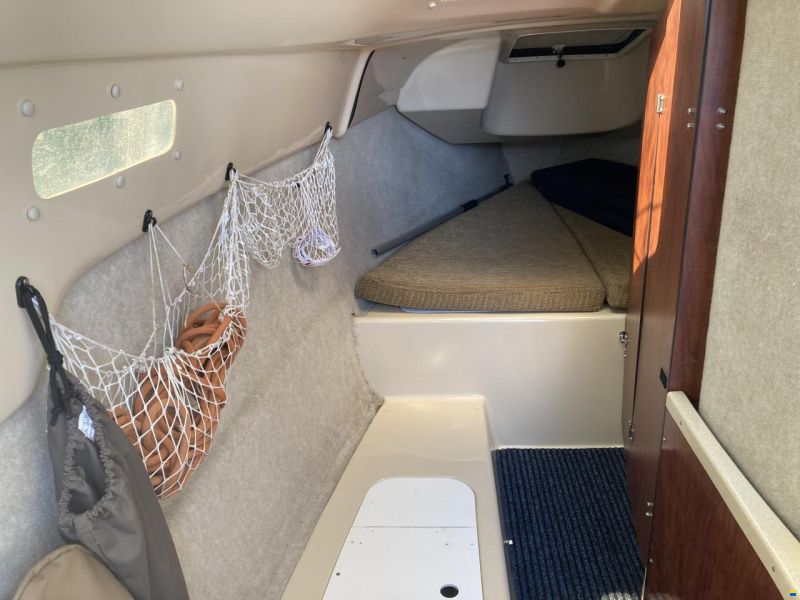 McGregor 26 M