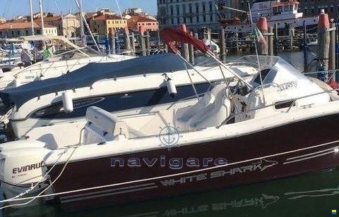 Kelt WHITE SHARK 248 SUNDECK