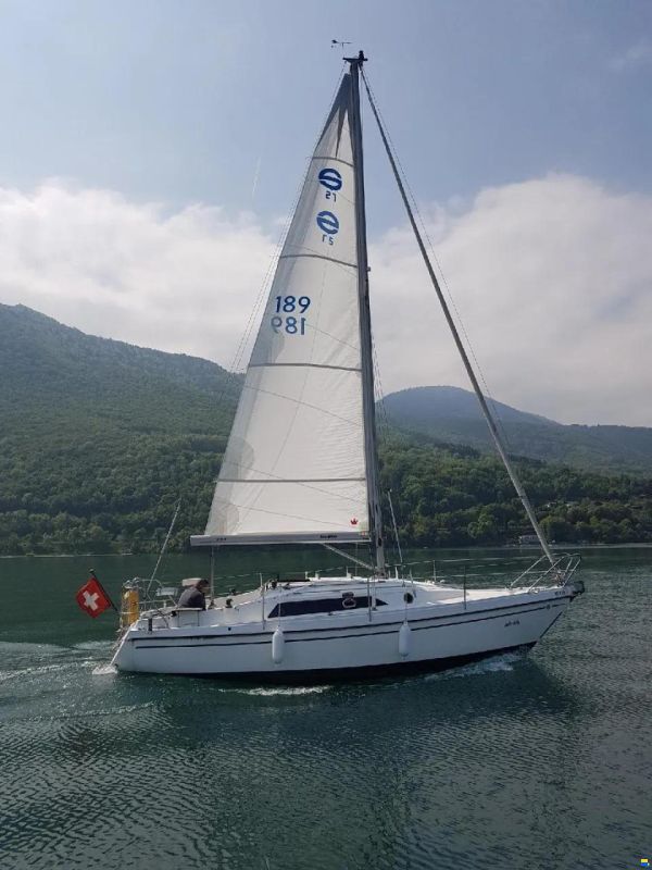 Sunbeam Schochl 27