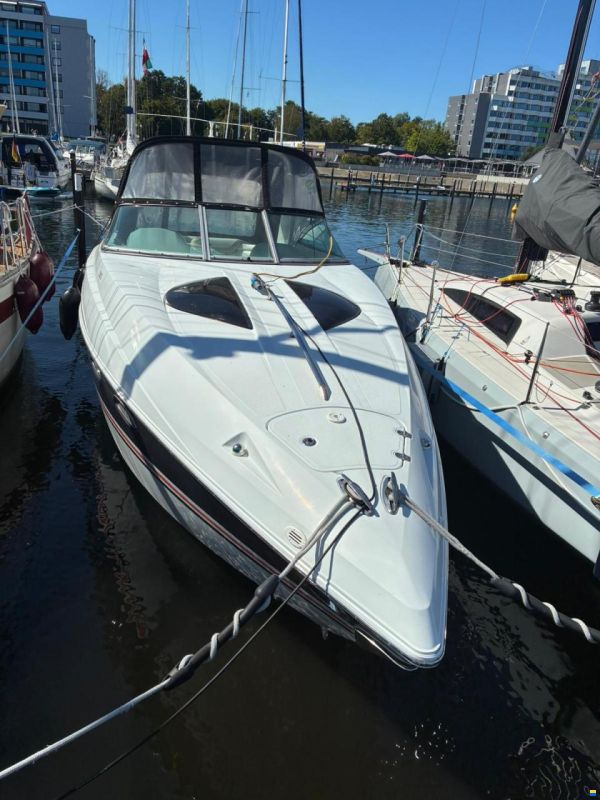 Baja Performance 335