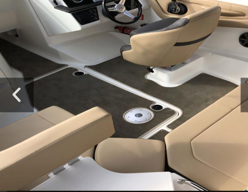 Sea Ray 19 SPX