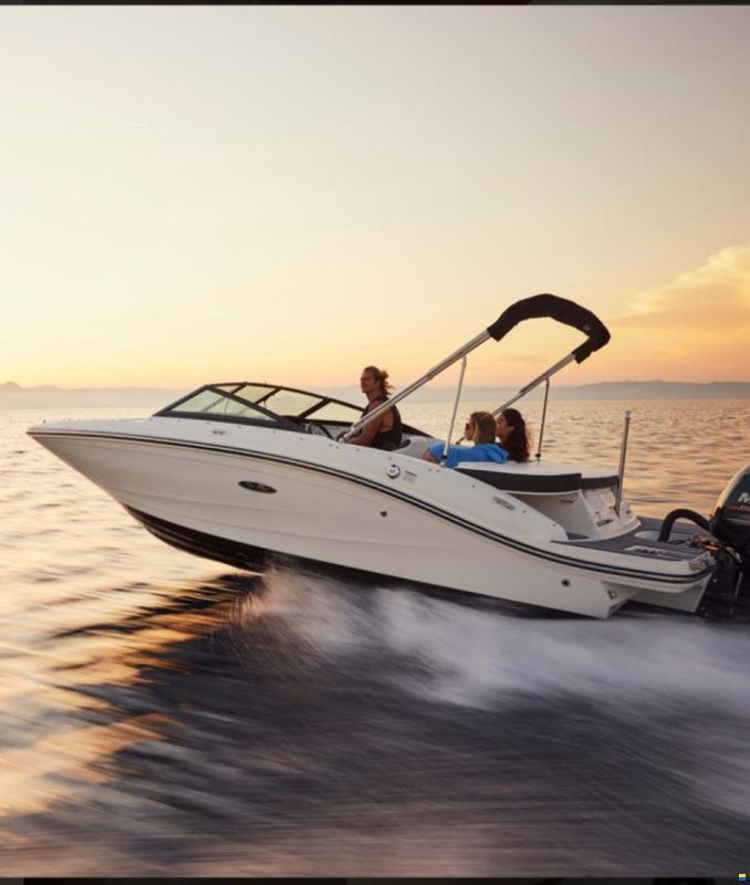 Sea Ray 19 SPX