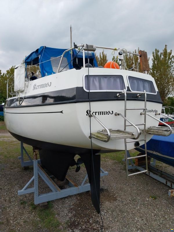 Lindinger Compass 31