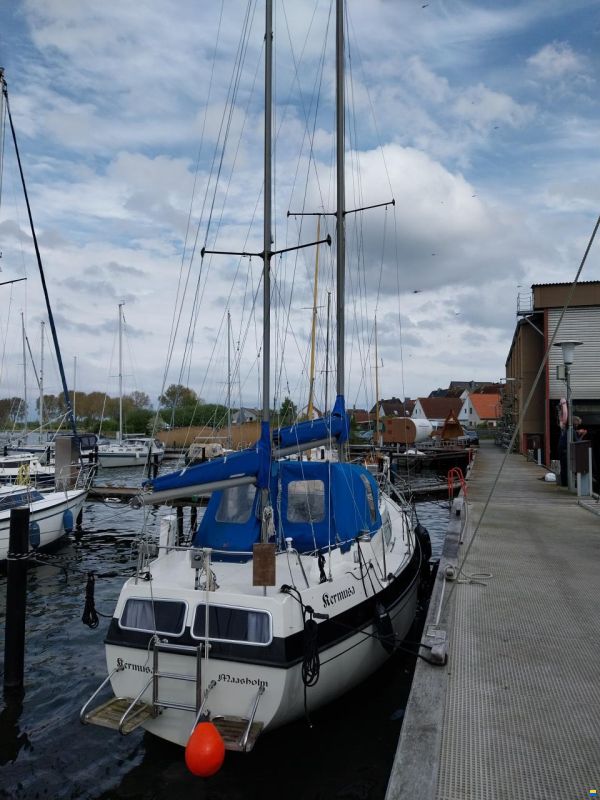 Lindinger Compass 31