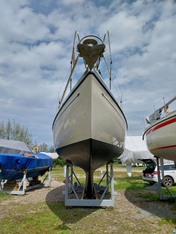 Lindinger Compass 31