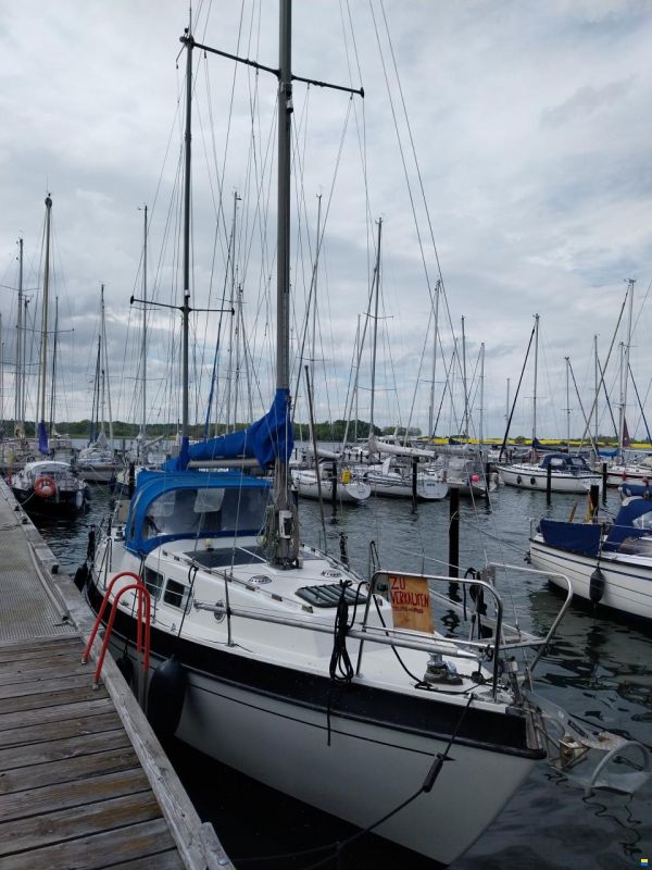 Lindinger Compass 31