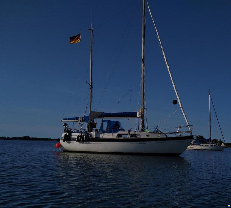 Lindinger Compass 31