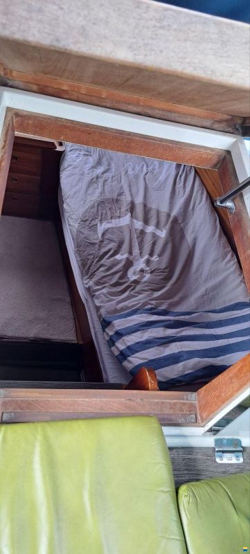 Lindinger Compass 31