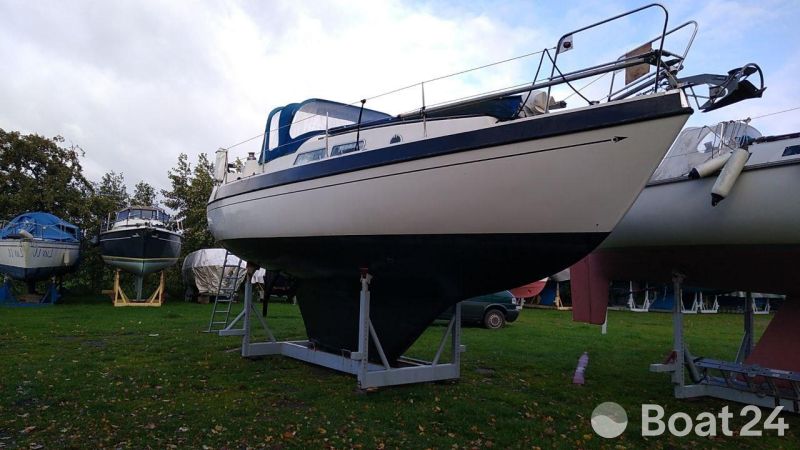 Lindinger Compass 31