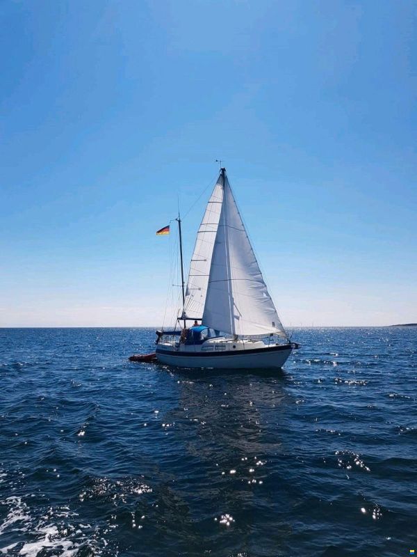 Lindinger Compass 31