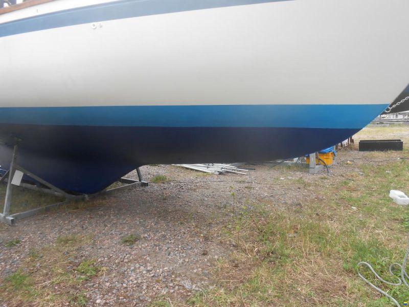 Finntern 35