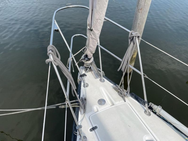 Dufour 29