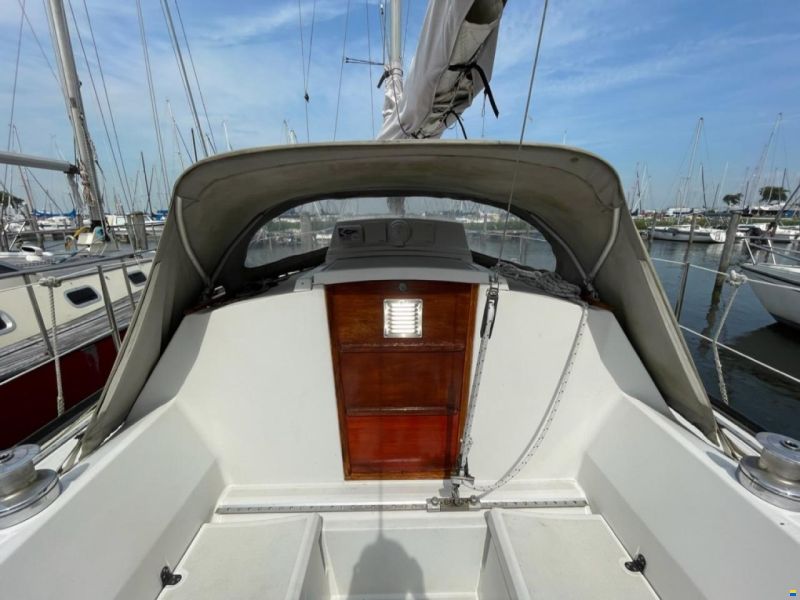 Dufour 29