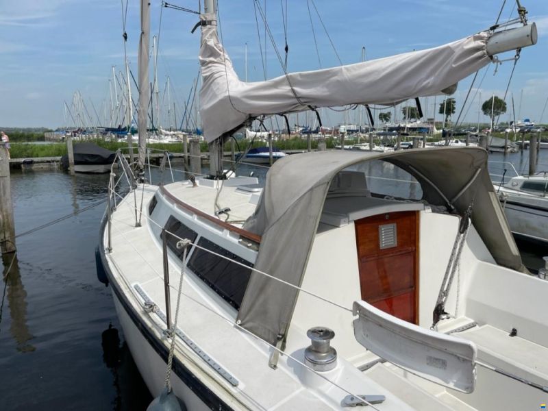 Dufour 29