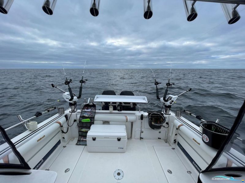 Wellcraft 290 coastal