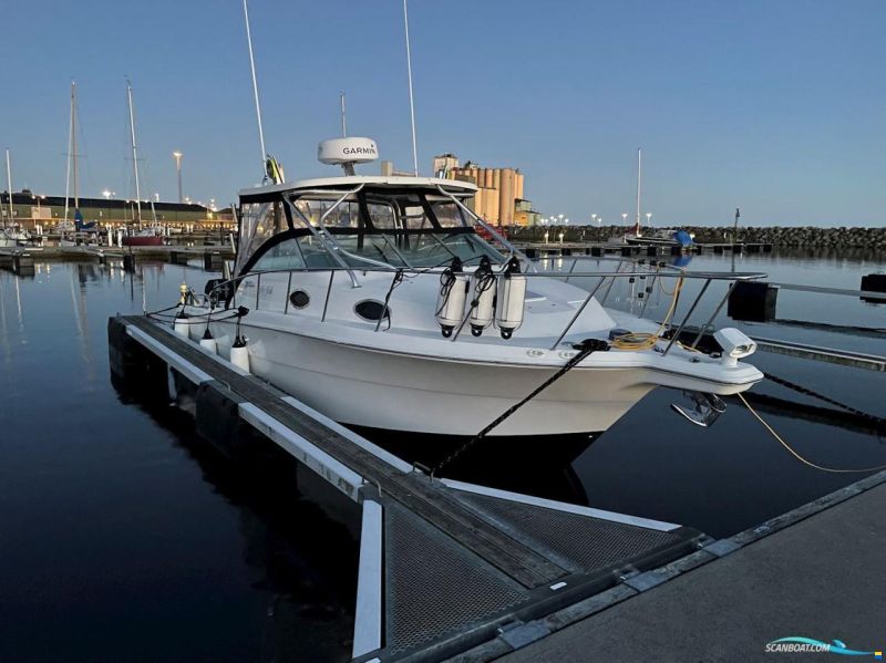 Wellcraft 290 coastal