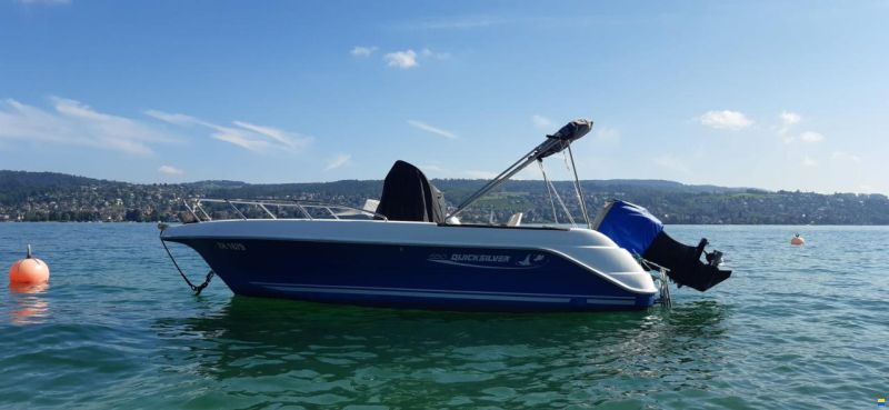 Quicksilver QS550 Commander