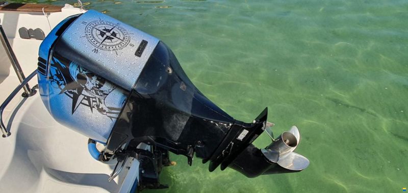 Quicksilver QS550 Commander