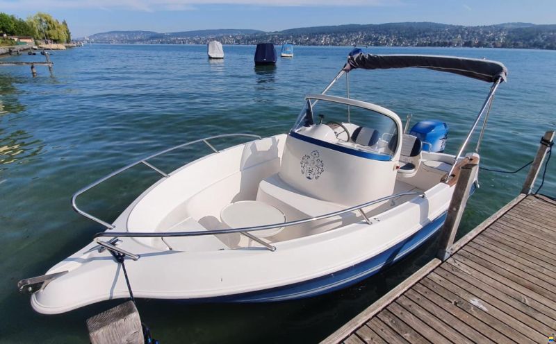 Quicksilver QS550 Commander