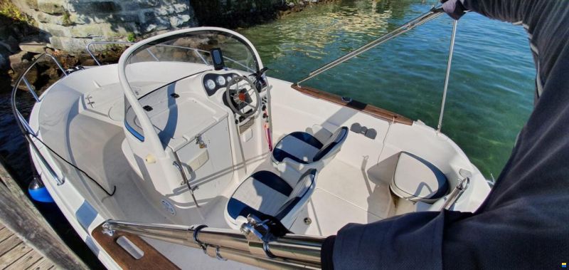 Quicksilver QS550 Commander