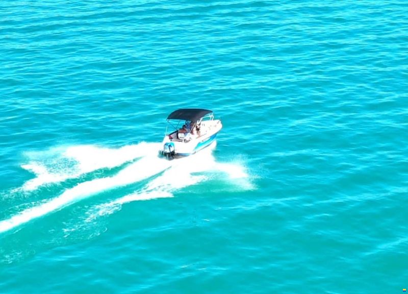 Quicksilver QS550 Commander