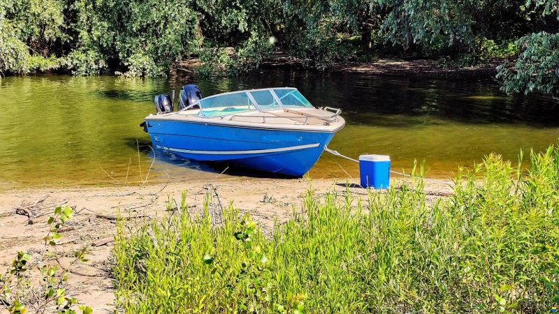 Almarine 485