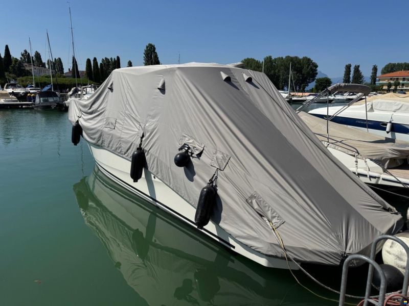 Sea Ray Sundancer 320