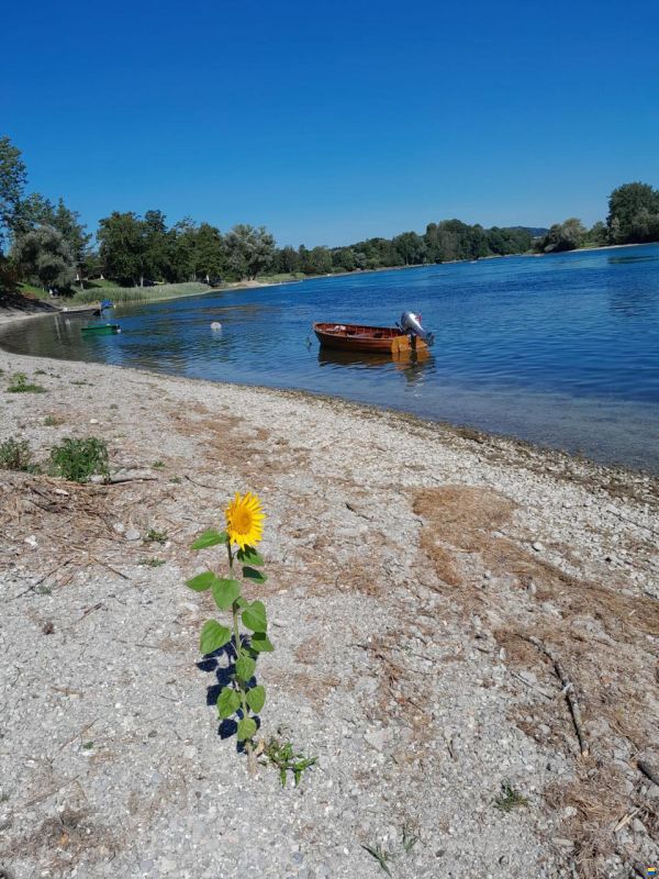 Starcraft Holzboot mit Aussenbordmotor