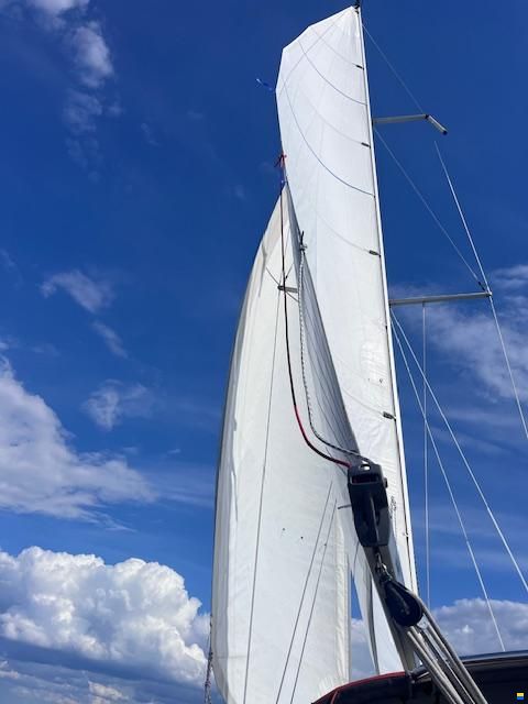 Forgus 31