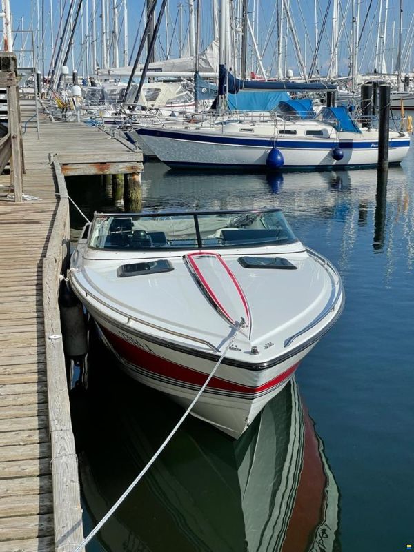 Formula 242 LS