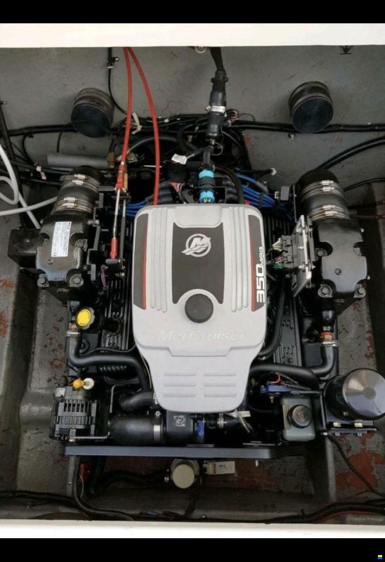 Formula 242 LS
