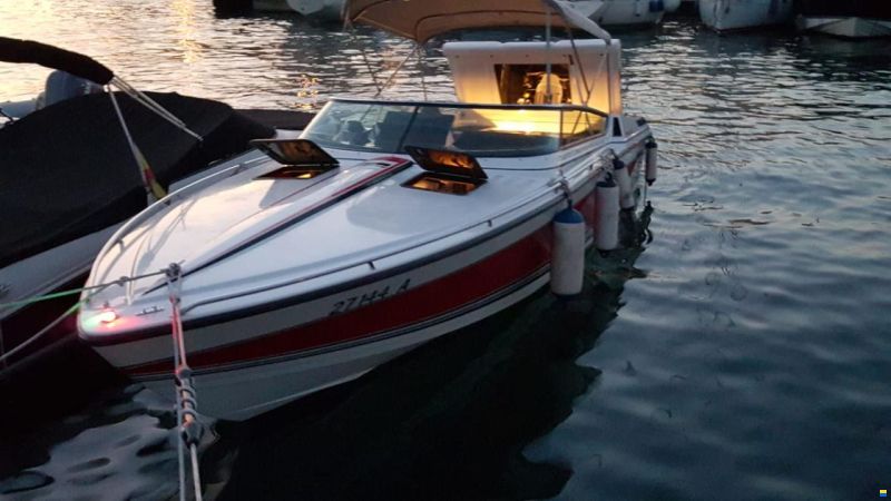 Formula 242 LS