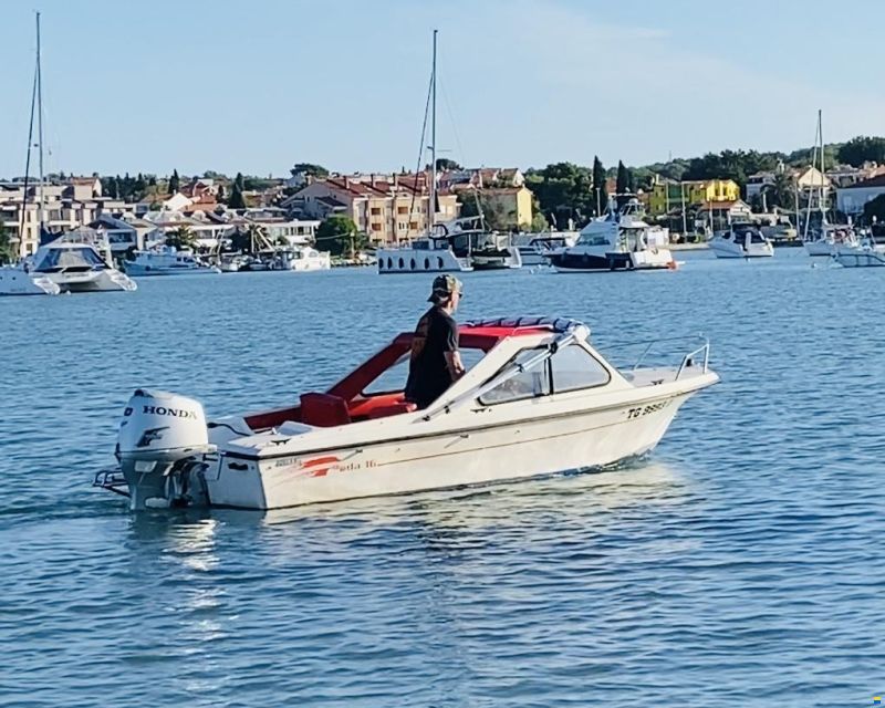 Hille Roda 16