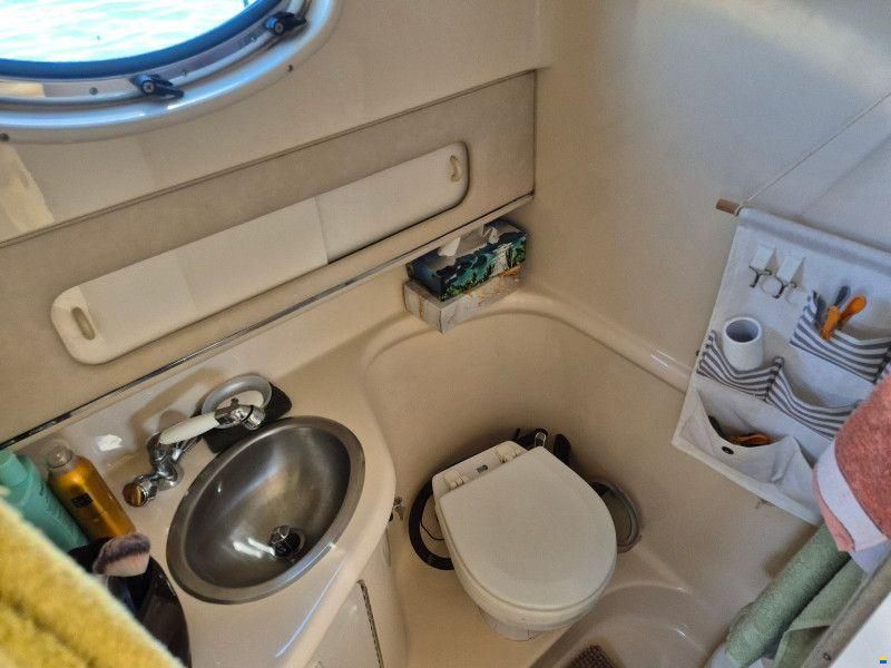 Sea Ray 270 DA