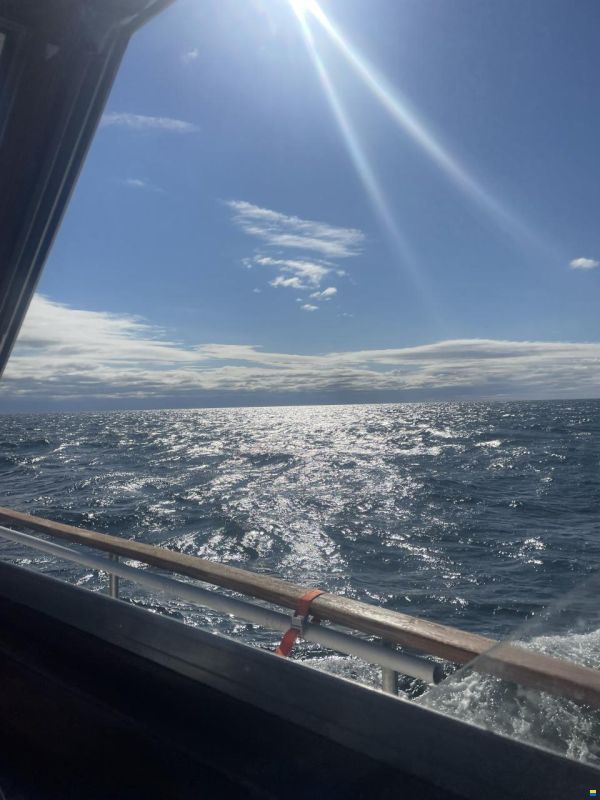 Condor Yachting Condor Comtess 44