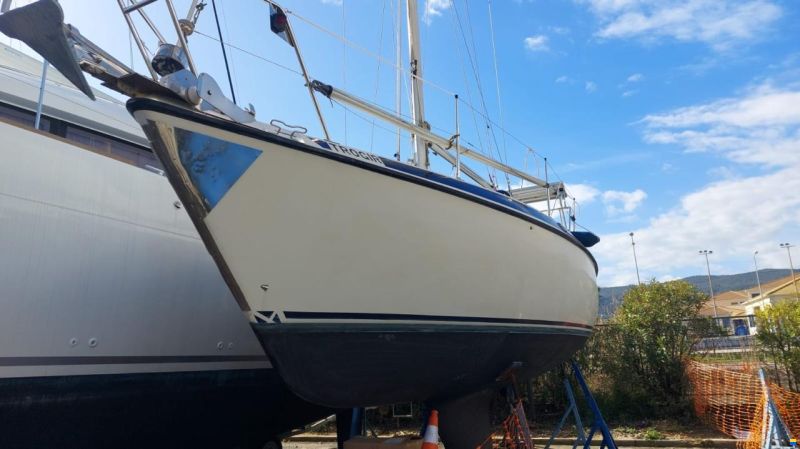 Maxi 84